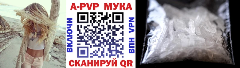 OMG как войти  Данилов  Alpha-PVP крисы CK 