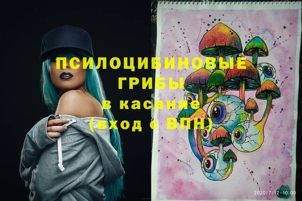 амф Бугульма