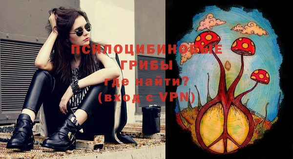jwh Бородино